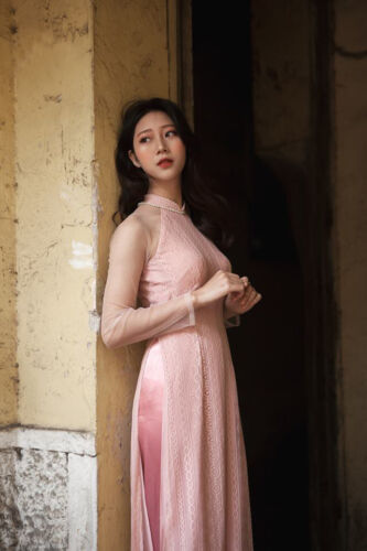 pink aodai vietnam clothing cheongsam aodai vietnam dress vietnamese t