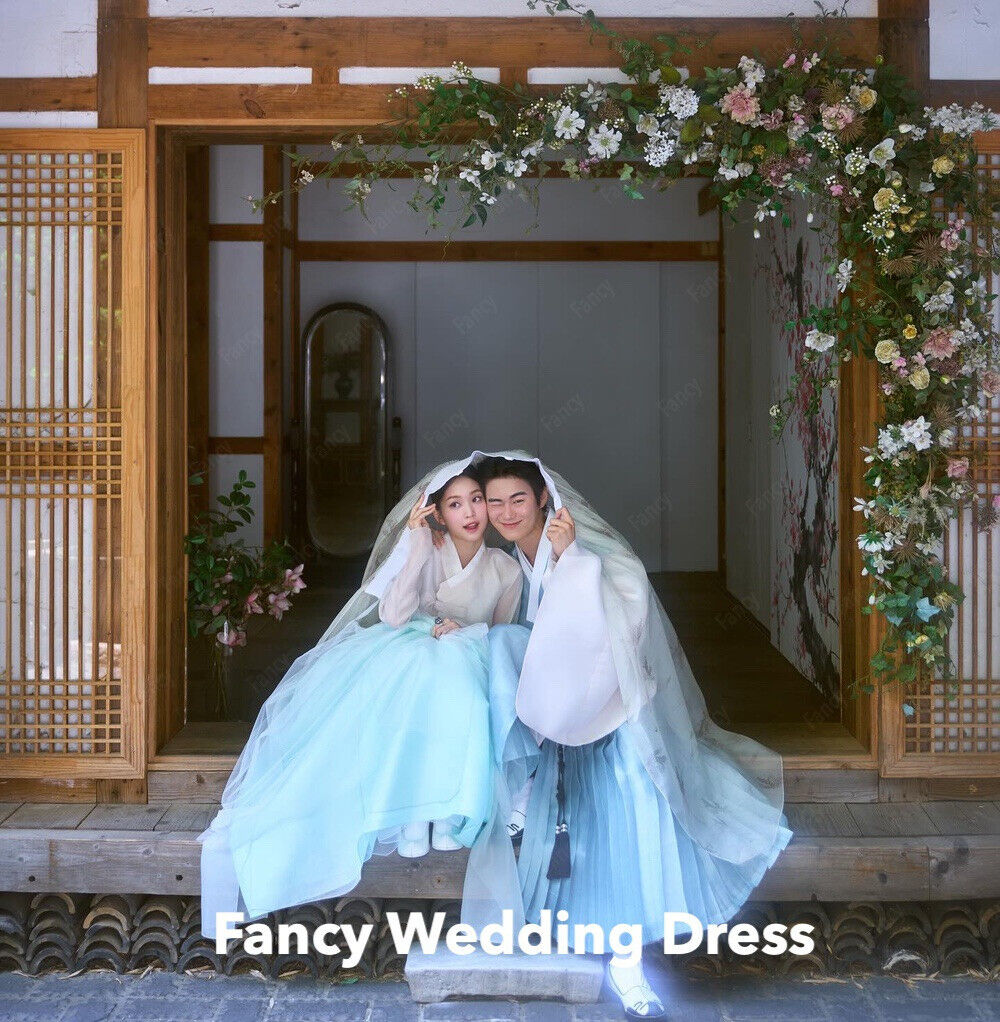 Fancy Simple V Neck Light Blue Wedding Dress Korea Photo Shoot A Line Organza B