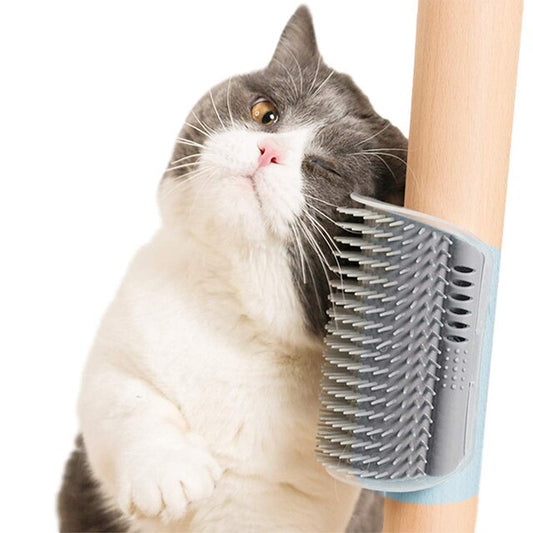 Pet Cat Brush Massage Cat Comb With Catnip Soft Pet Brush For Cats Self Groomer