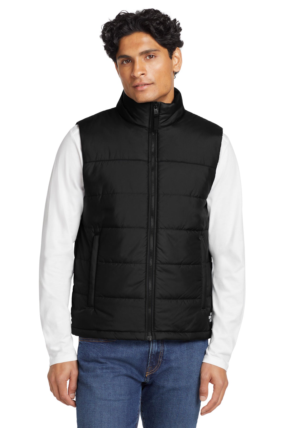 The North Face? Everyday Insulated Vest. NF0A529A